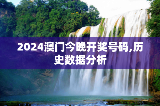 2024澳门今晚开奖号码,历史数据分析