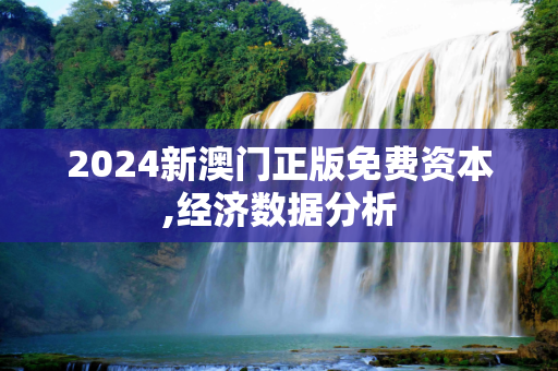 2024新澳门正版免费资本,经济数据分析