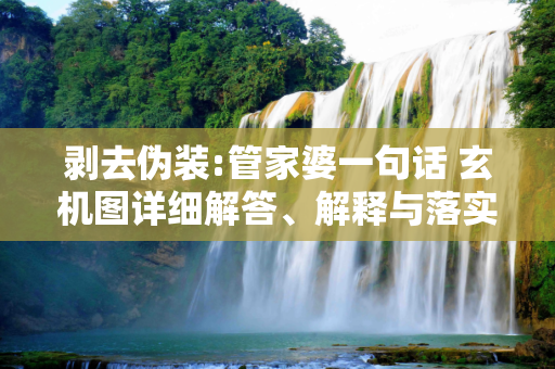 剥去伪装:管家婆一句话 玄机图详细解答、解释与落实