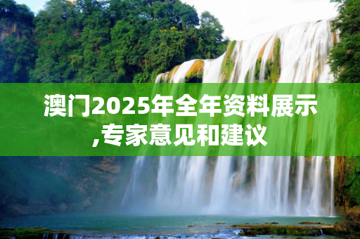澳门2025年全年资料展示,专家意见和建议