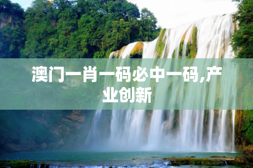 澳门一肖一码必中一码,产业创新