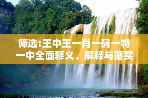 筛选:王中王一肖一码一特一中全面释义、解释与落实