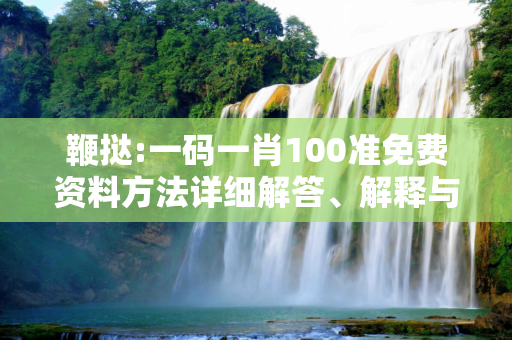 鞭挞:一码一肖100准免费资料方法详细解答、解释与落实