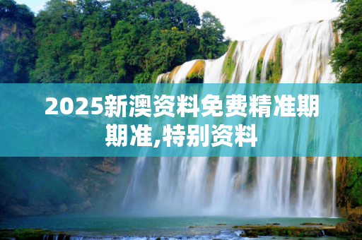 2025新澳资料免费精准期期准,特别资料