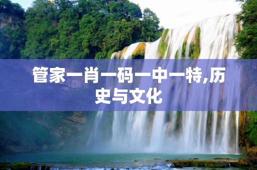 管家一肖一码一中一特,历史与文化