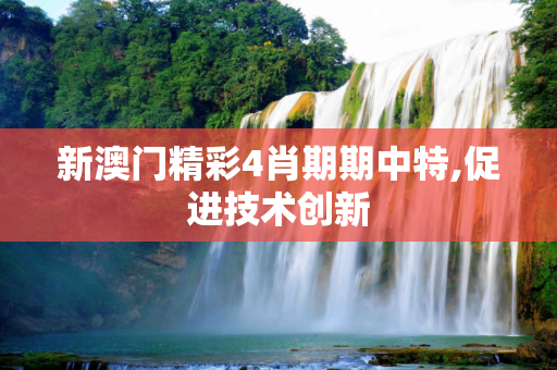 新澳门精彩4肖期期中特,促进技术创新