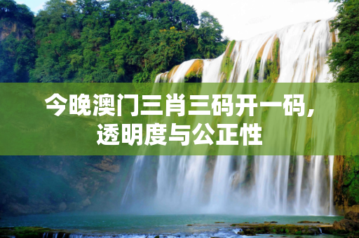 今晚澳门三肖三码开一码,透明度与公正性