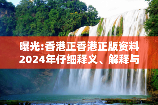 曝光:香港正香港正版资料2024年仔细释义、解释与落实