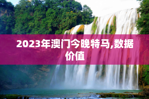 2023年澳门今晚特马,数据价值