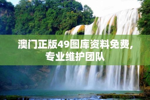 澳门正版49图库资料免费,专业维护团队