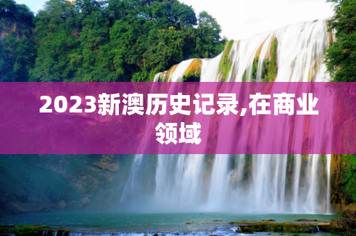 2023新澳历史记录,在商业领域