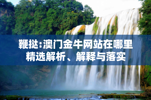 鞭挞:澳门金牛网站在哪里精选解析、解释与落实
