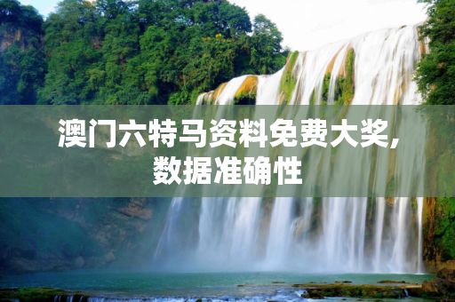澳门六特马资料免费大奖,数据准确性