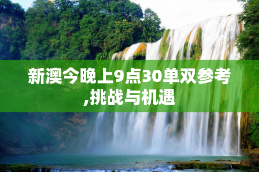 新澳今晚上9点30单双参考,挑战与机遇