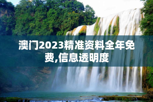 澳门2023精准资料全年免费,信息透明度