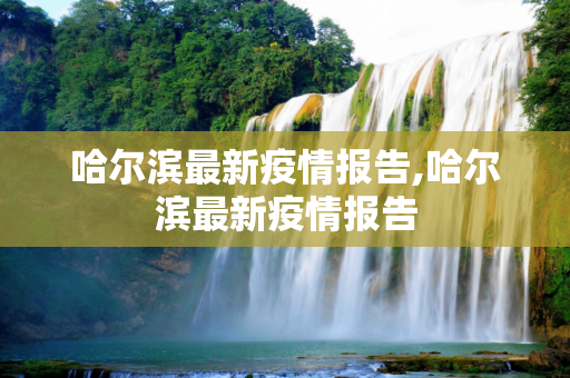哈尔滨最新疫情报告,哈尔滨最新疫情报告