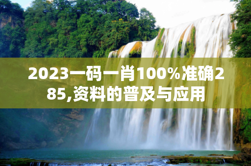 2023一码一肖100%准确285,资料的普及与应用