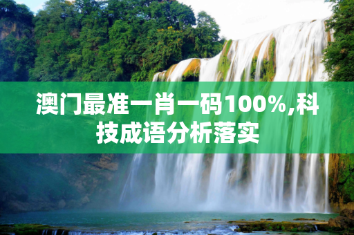 澳门最准一肖一码100%,科技成语分析落实