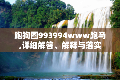 跑狗图993994www跑马,详细解答、解释与落实