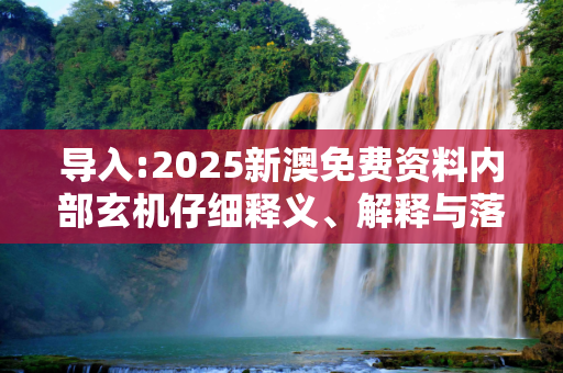 导入:2025新澳免费资料内部玄机仔细释义、解释与落实