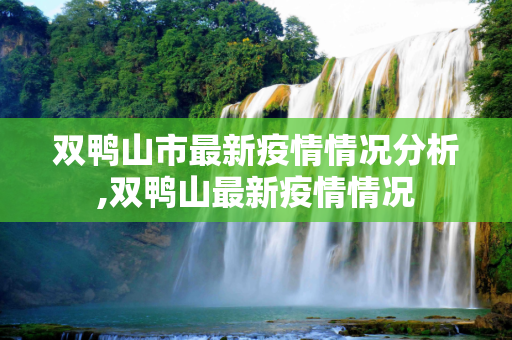 双鸭山市最新疫情情况分析,双鸭山最新疫情情况
