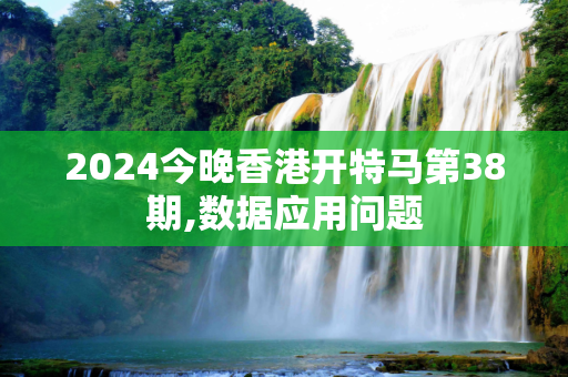 2024今晚香港开特马第38期,数据应用问题