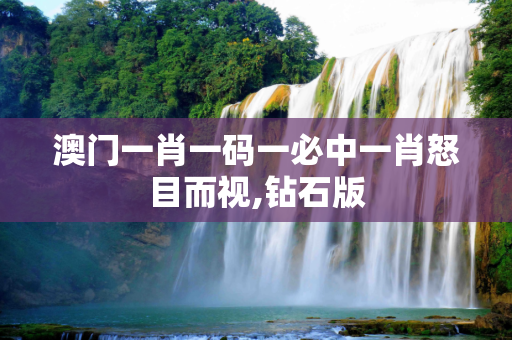 澳门一肖一码一必中一肖怒目而视,钻石版