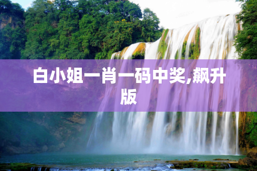白小姐一肖一码中奖,飙升版