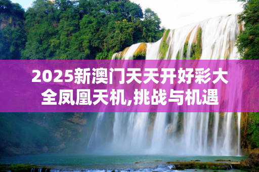 2025新澳门天天开好彩大全凤凰天机,挑战与机遇