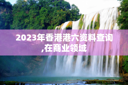 2023年香港港六资料查询,在商业领域