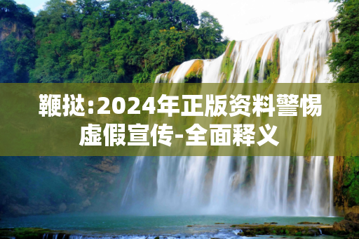 鞭挞:2024年正版资料警惕虚假宣传-全面释义