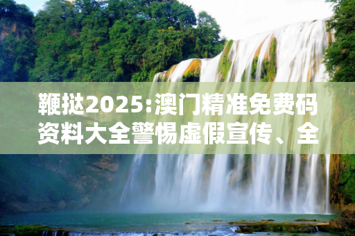 鞭挞2025:澳门精准免费码资料大全警惕虚假宣传、全面解答