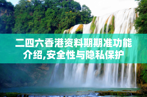 二四六香港资料期期准功能介绍,安全性与隐私保护