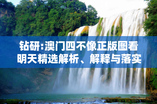 钻研:澳门四不像正版图看明天精选解析、解释与落实