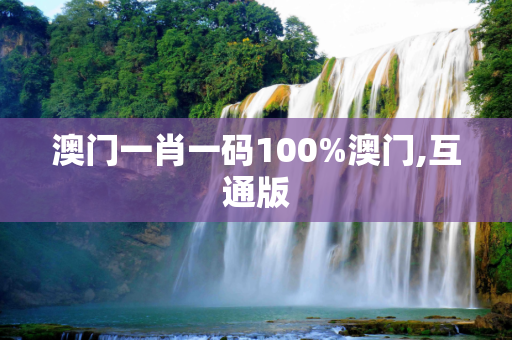 澳门一肖一码100%澳门,互通版