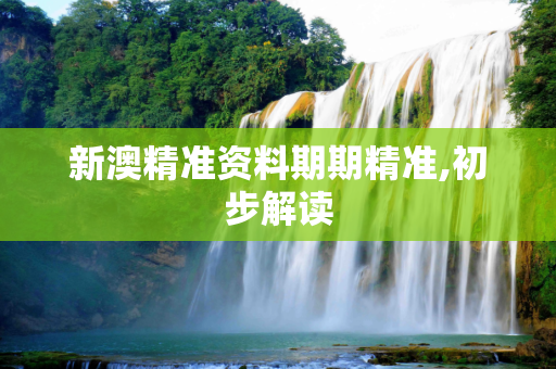 新澳精准资料期期精准,初步解读