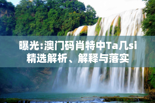 曝光:澳门码肖特中Ta几si精选解析、解释与落实