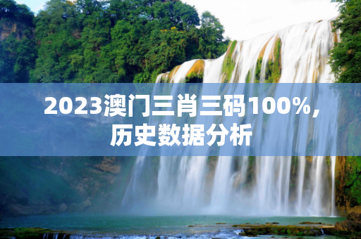 2023澳门三肖三码100%,历史数据分析