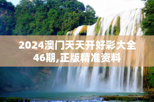 2024澳门天天开好彩大全46期,正版精准资料