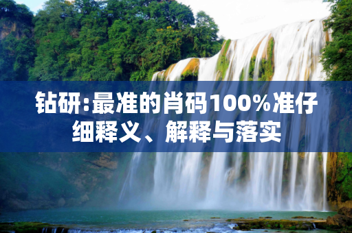 钻研:最准的肖码100%准仔细释义、解释与落实