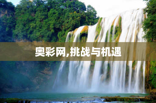 奥彩网,挑战与机遇
