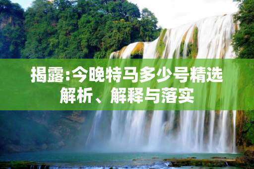 揭露:今晚特马多少号精选解析、解释与落实