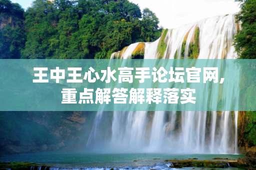 王中王心水高手论坛官网,重点解答解释落实