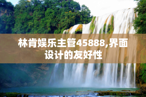 林肯娱乐主管45888,界面设计的友好性