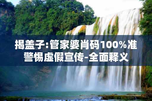 揭盖子:管家婆肖码100%准警惕虚假宣传-全面释义