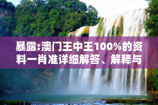 暴露:澳门王中王100%的资料一肖准详细解答、解释与落实