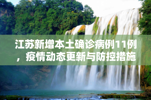 江苏新增本土确诊病例11例，疫情动态更新与防控措施,江苏新增本土确诊病例11例
