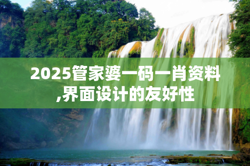 2025管家婆一码一肖资料,界面设计的友好性