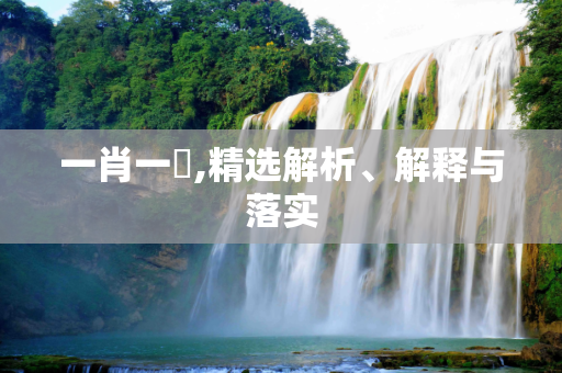 一肖一碼,精选解析、解释与落实