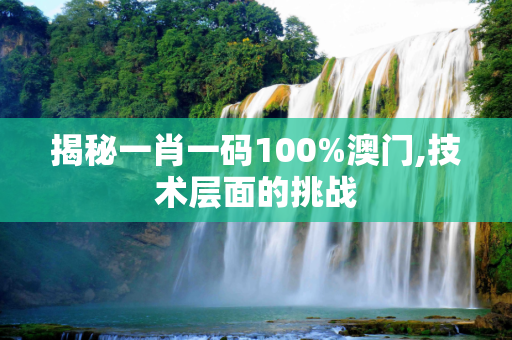 揭秘一肖一码100%澳门,技术层面的挑战